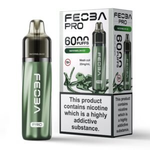 Feoba Pro 6000 Puffs Prefilled Vape - Image 20